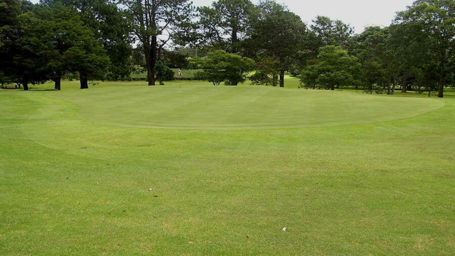 Tamborine Mountain GC: #4