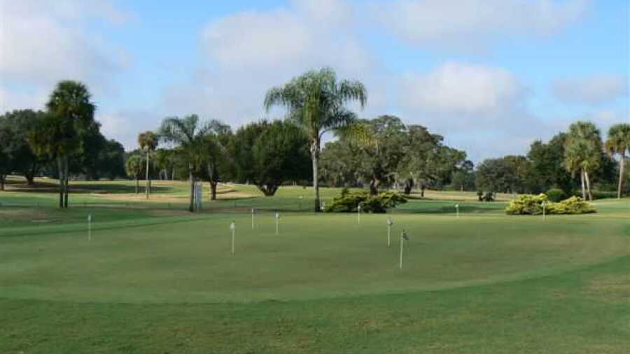 Sandhill GC: putting green