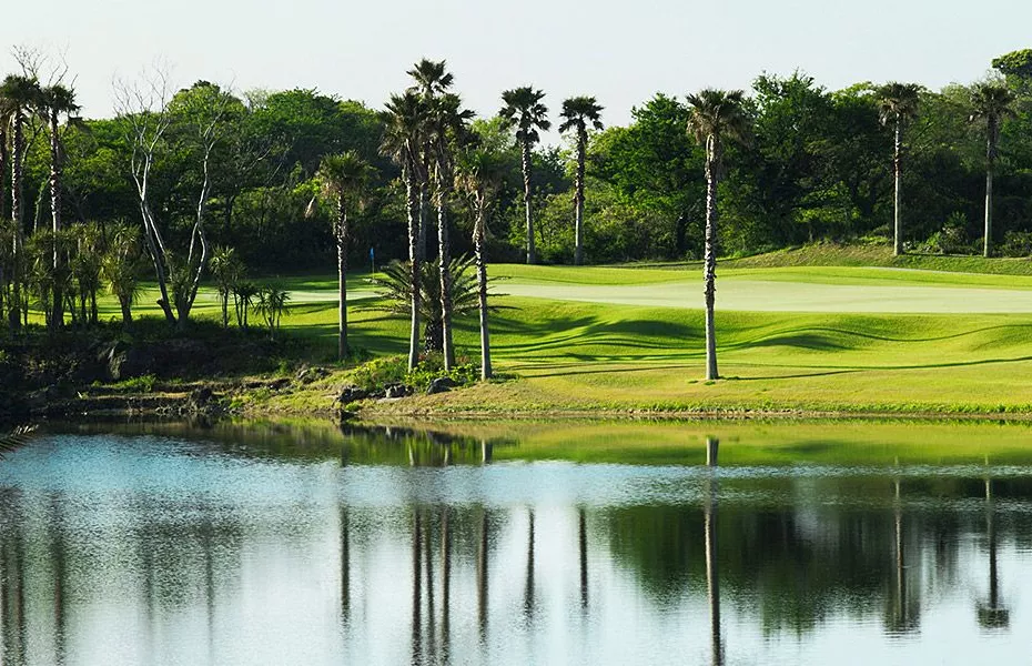 Teddy Valley Golf & Resort: #15