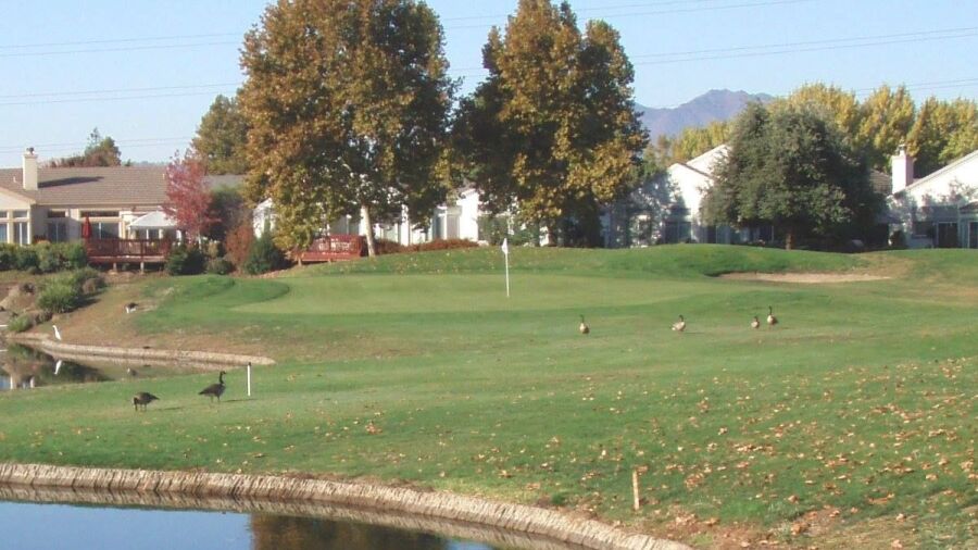 Brentwood GC - Diablo: #5