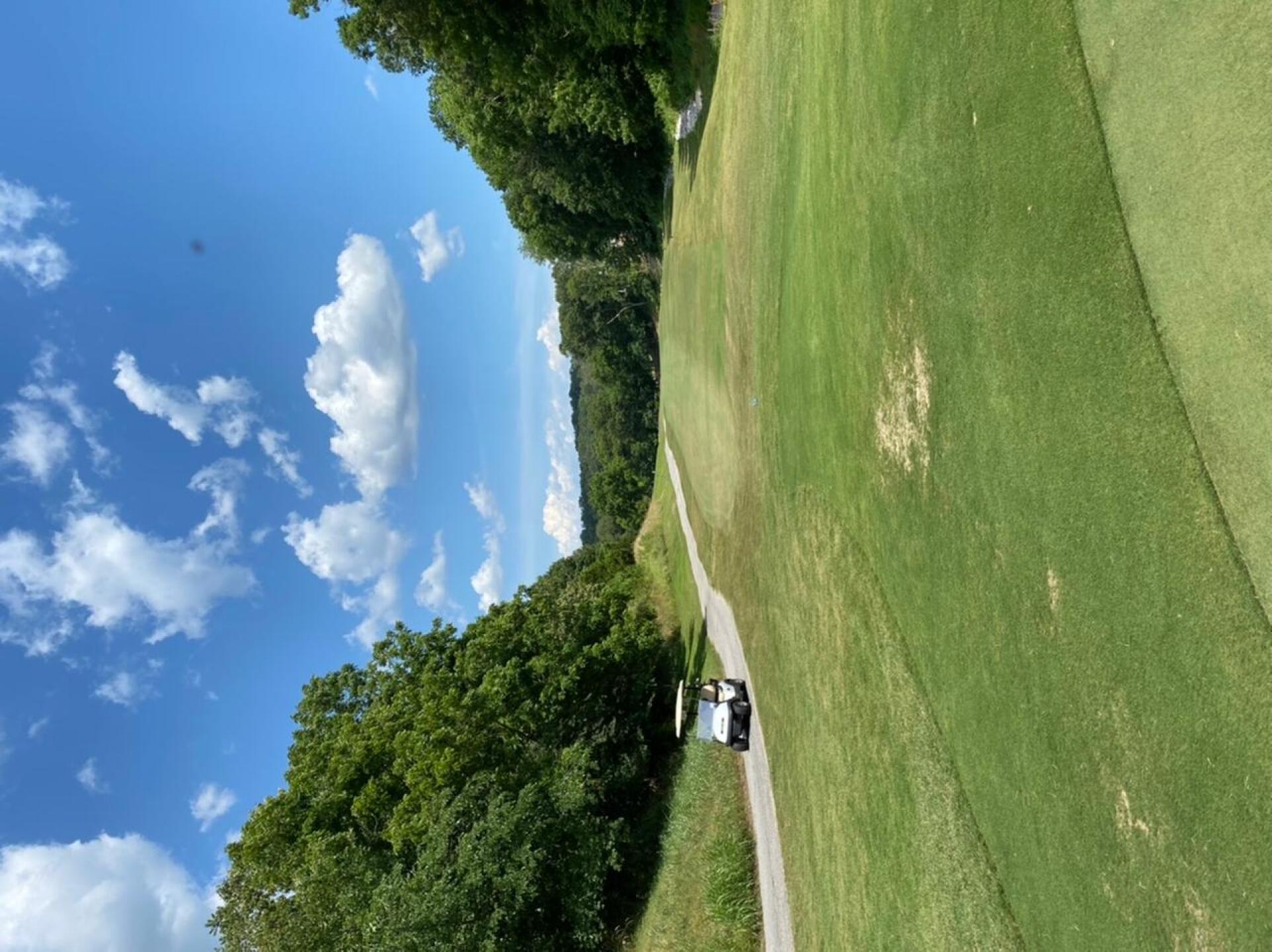 (Photo submitted by Jcruneberg on 06/14/2020)