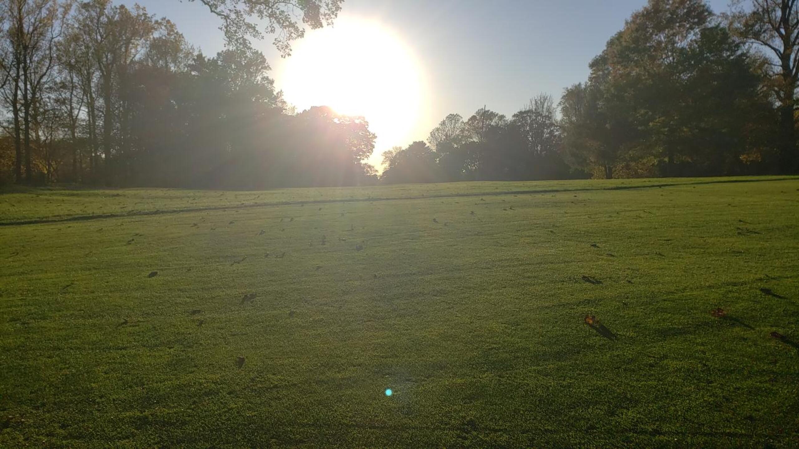 (Photo submitted by rolandsports on 10/24/2019)