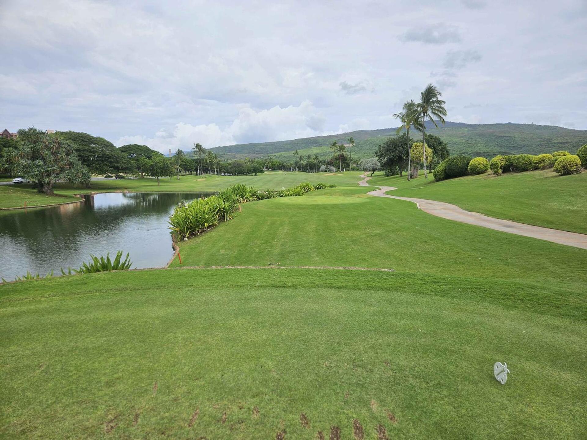 (Photo submitted by u314161622535 on 01/26/2026)