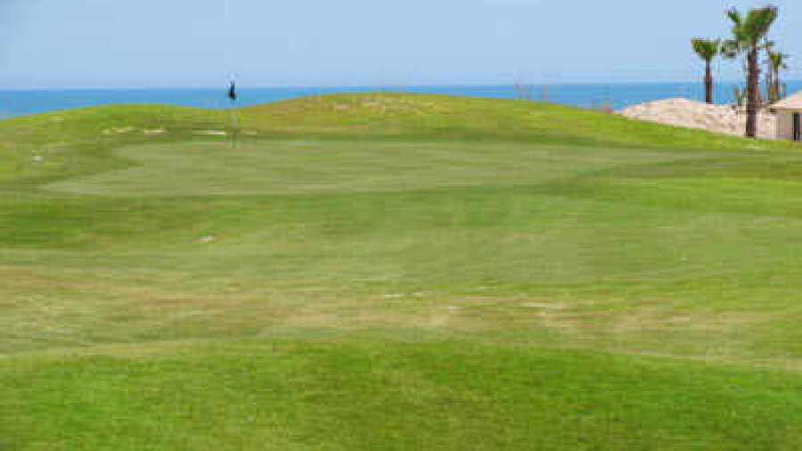 Las Caras de Mexico GC: #14