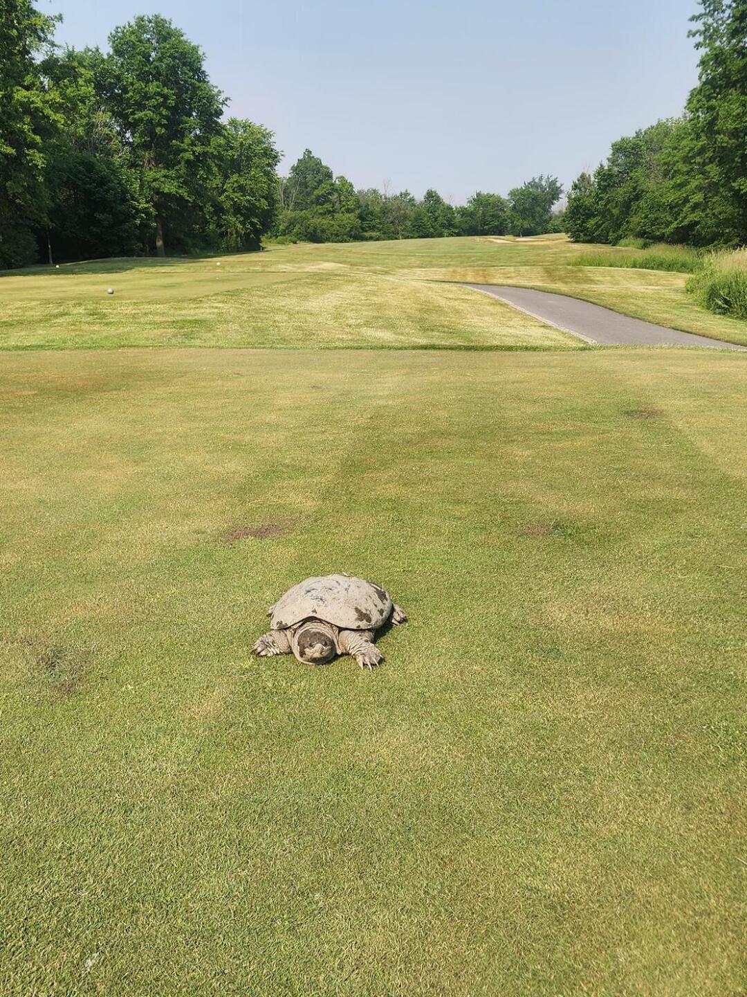 More hazards than sand and water. LOL (Photo submitted by uIHYW3678IH on 06/08/2023)