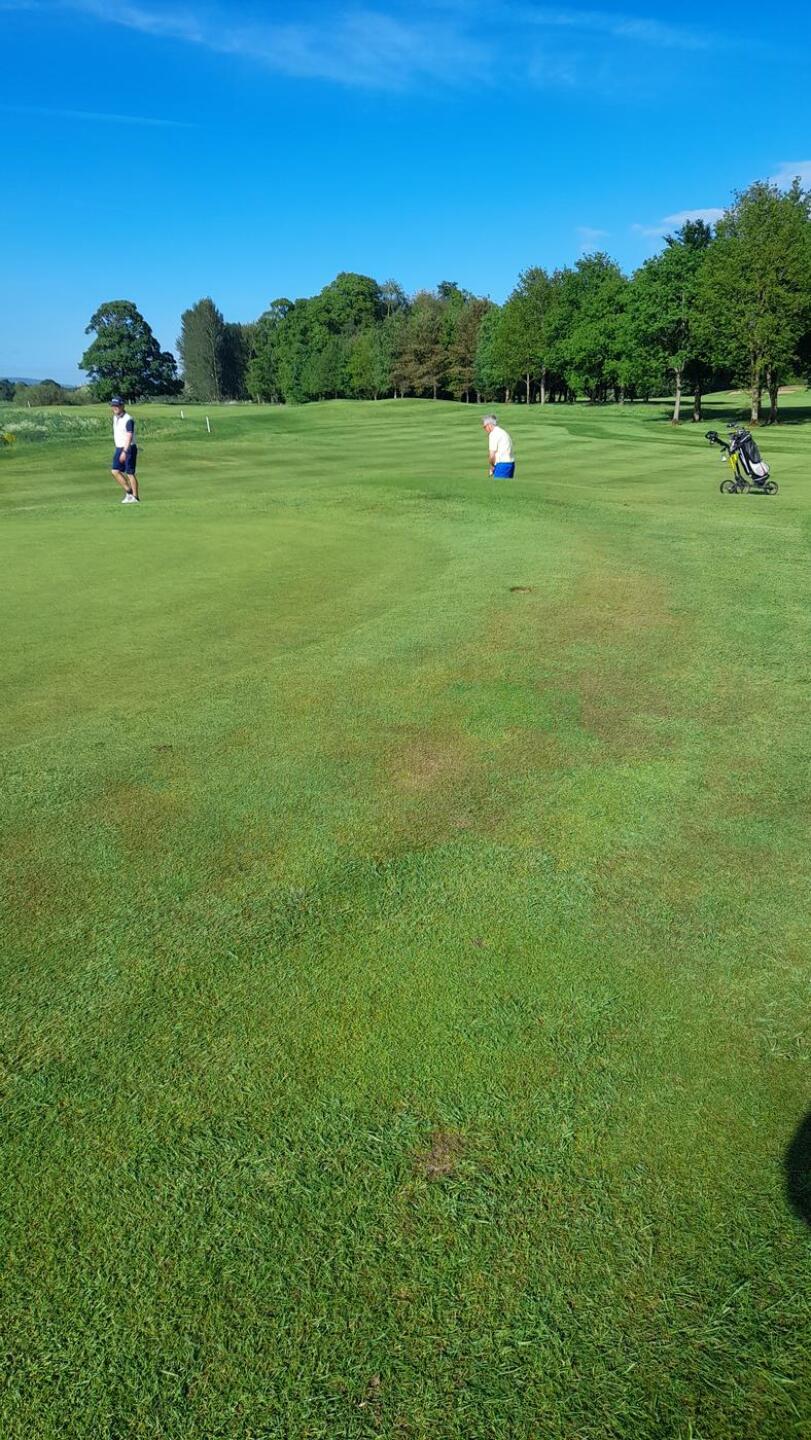 (Photo submitted by u314161380841 on 06/07/2021)