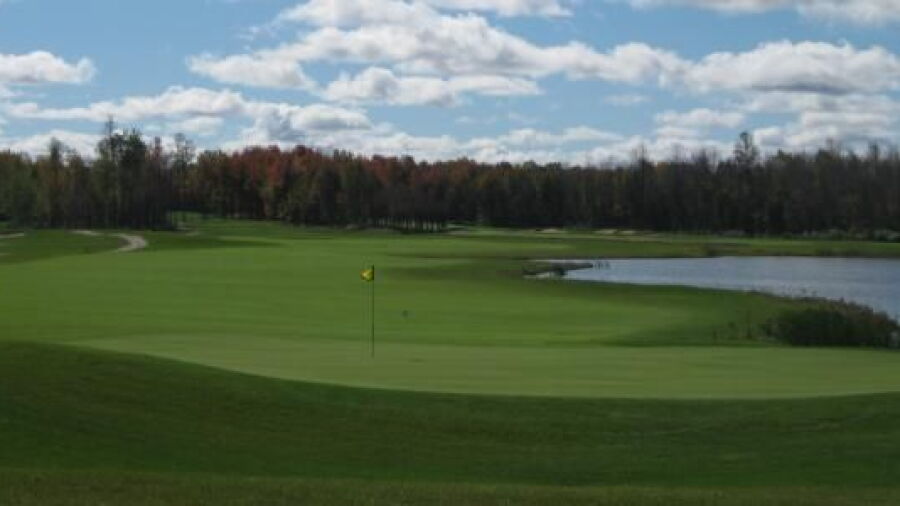 eQuinelle GC