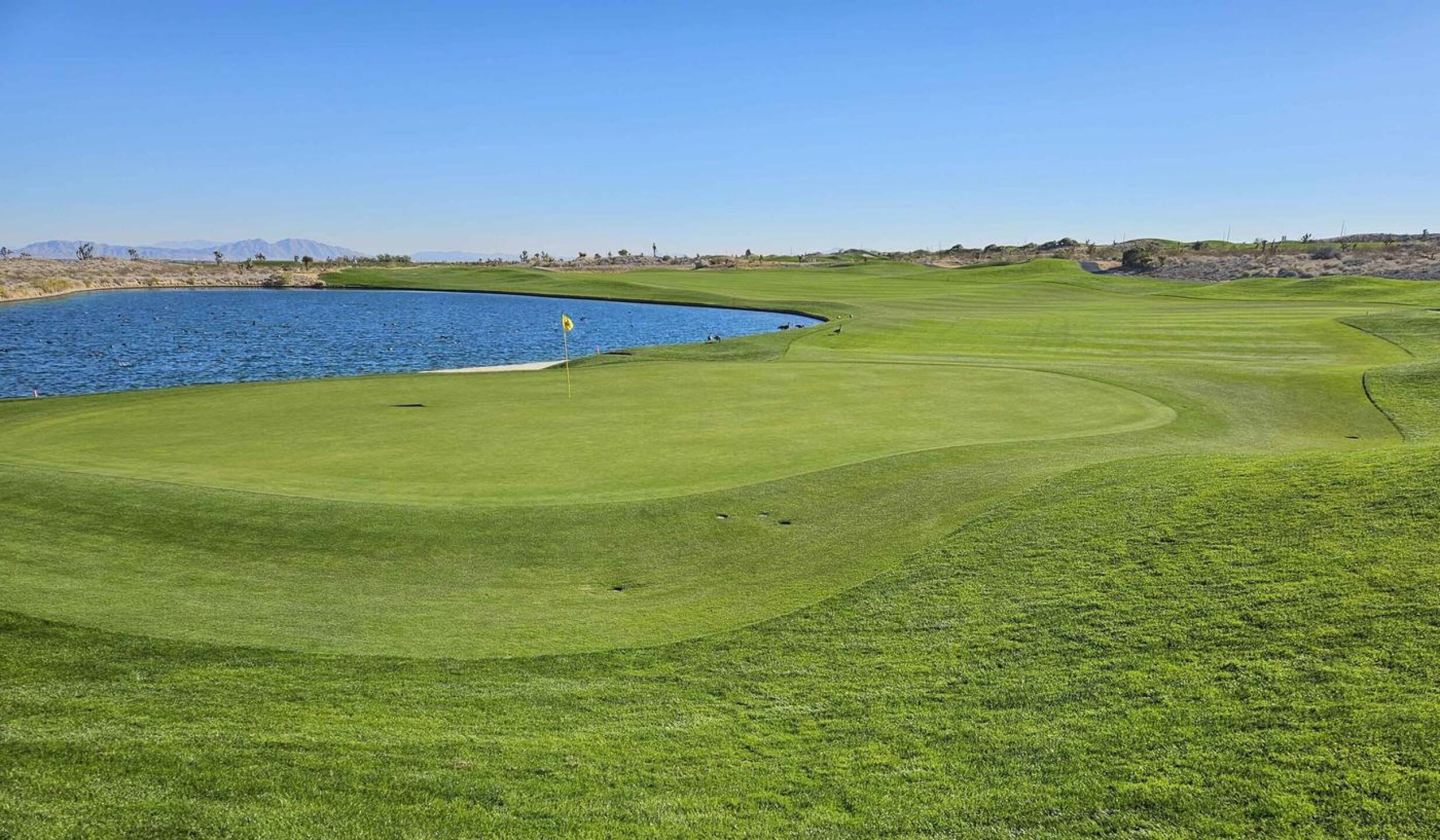 (Photo submitted by u314161622535 on 11/29/2025)