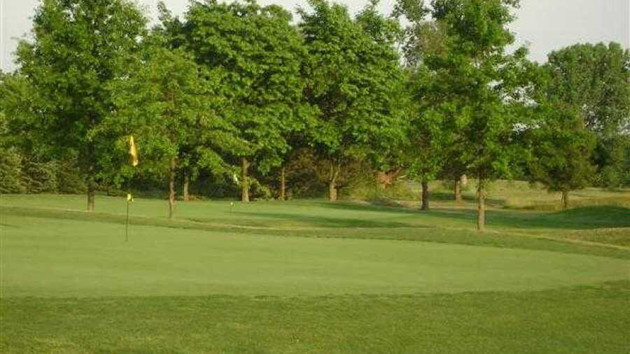 Gold at Bob-O-Link GC