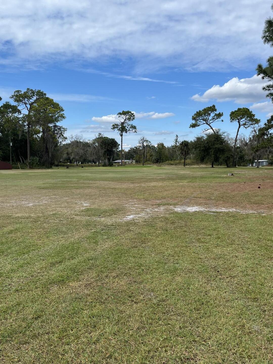 (Photo submitted by t1ouEmmw3eiq3eT4FOJm on 11/03/2025)