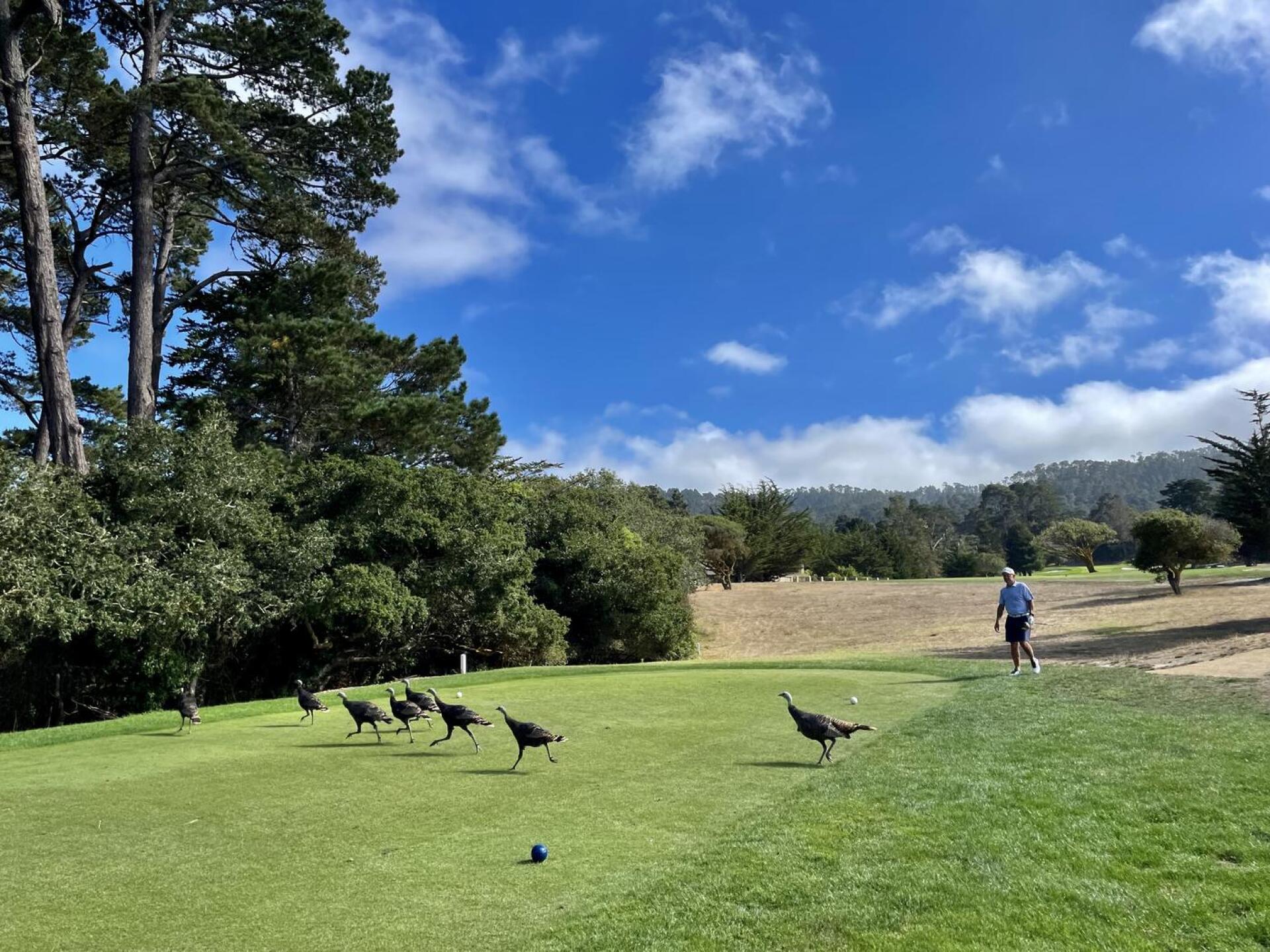 (Photo submitted by pserf on 09/14/2023)