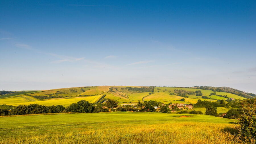 Pyecombe GC: #15