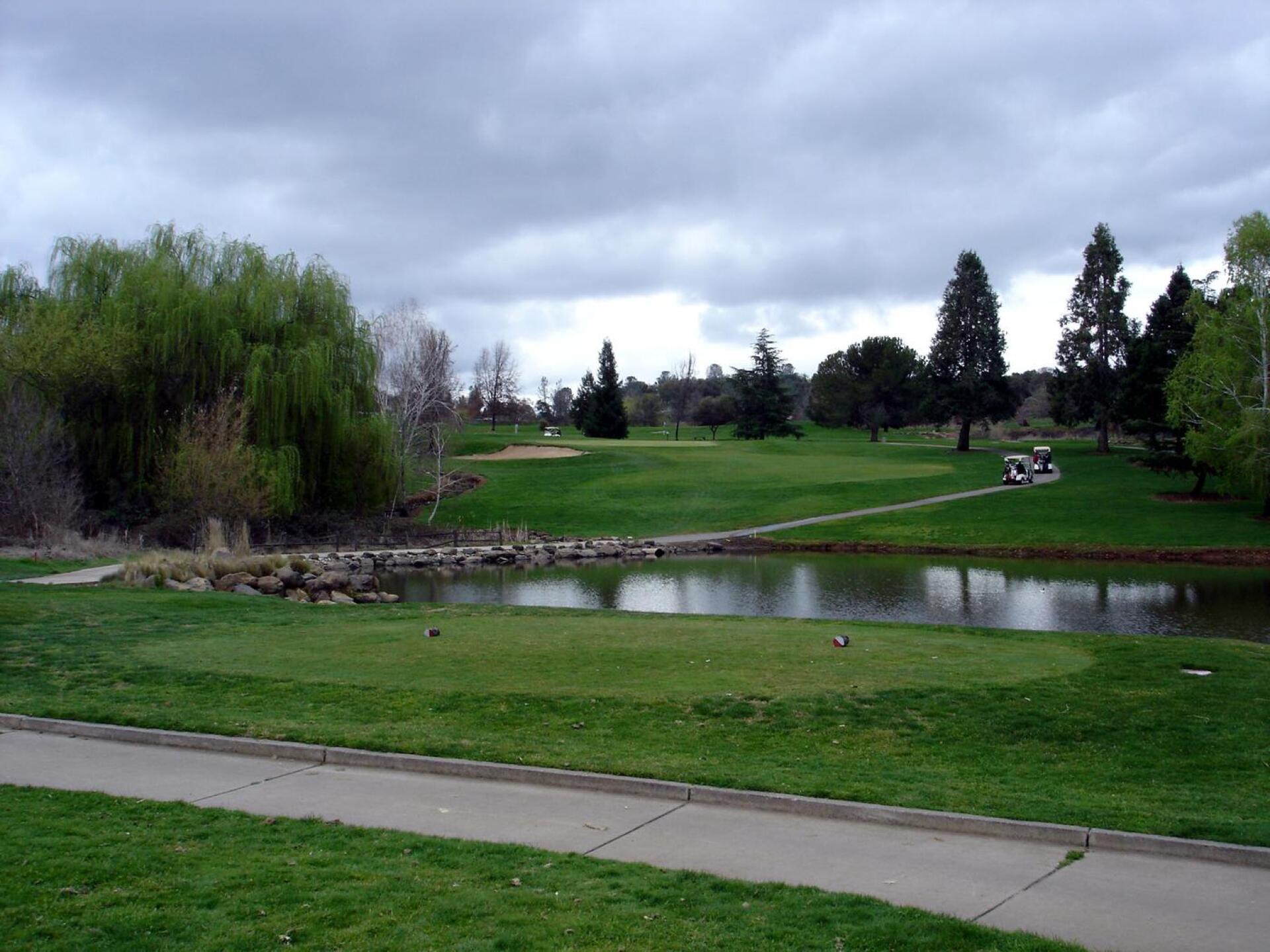 Auburn Valley GC, Hole 12, Par 3, 189 yds (Photo submitted by DYakimec on 06/21/2016)