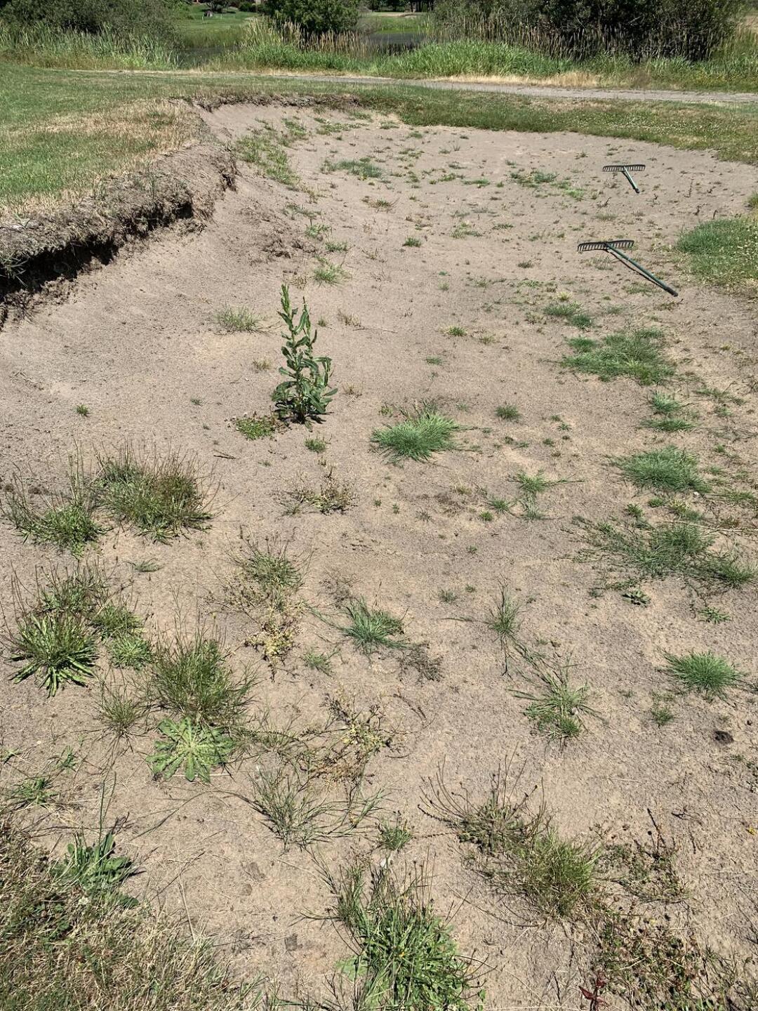 Bunker (Photo submitted by u314161066532 on 07/10/2021)