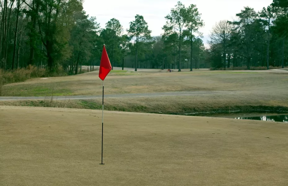 Sanctuary GC at Lakepoint State Park
