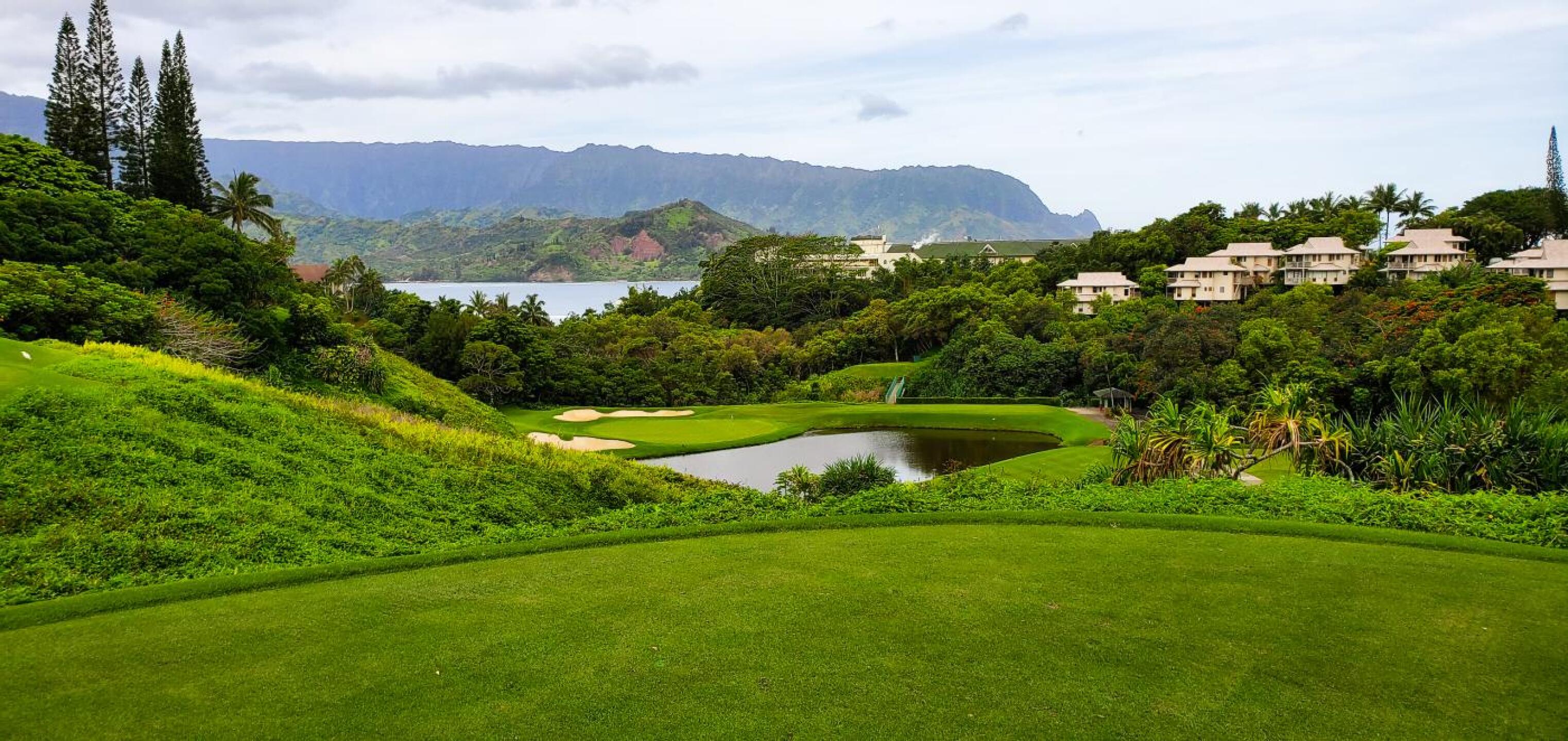 (Photo submitted by cjohnbrown on 10/07/2019)