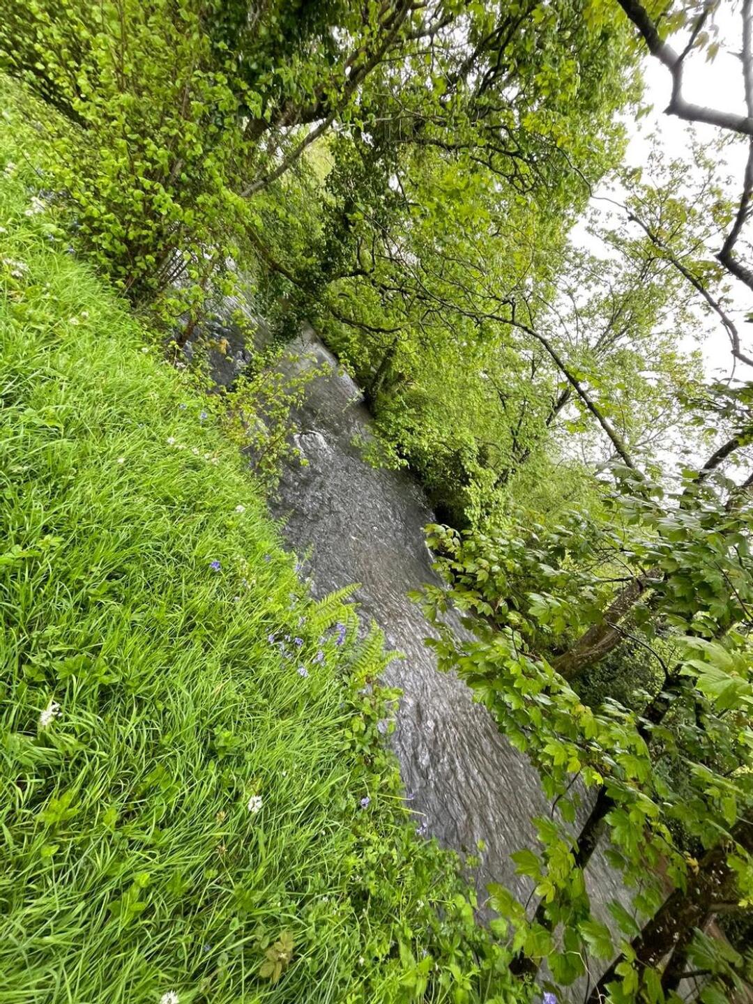 (Photo submitted by 9nv45U3nhQVQqE3dXqGw on 05/06/2024)