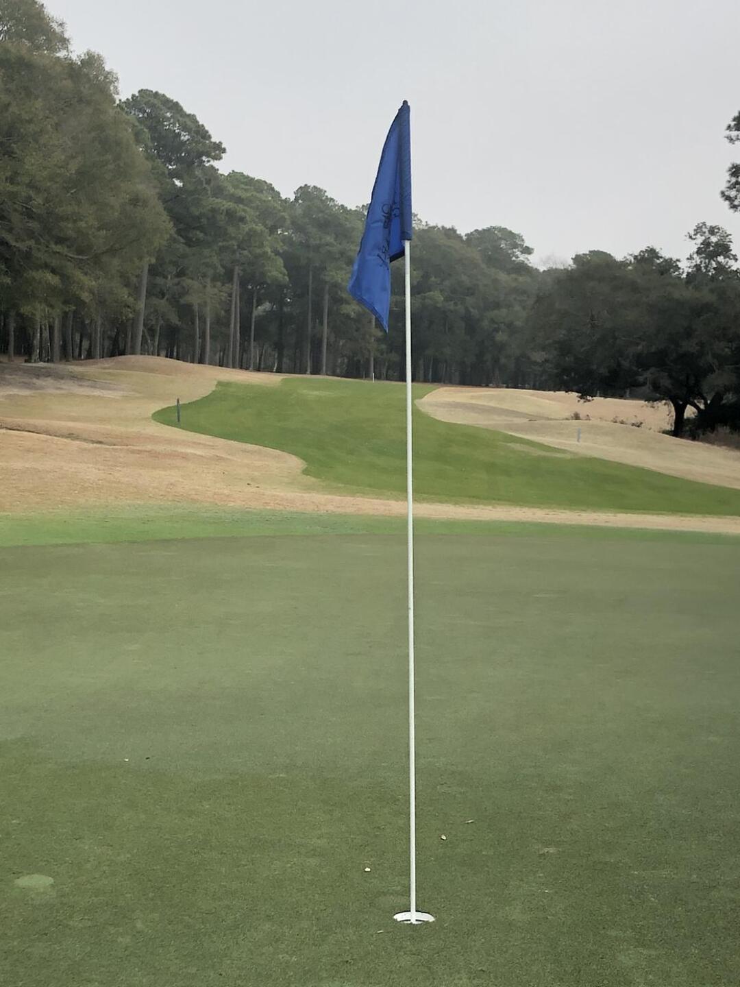 (Photo submitted by bnellis on 01/26/2021)