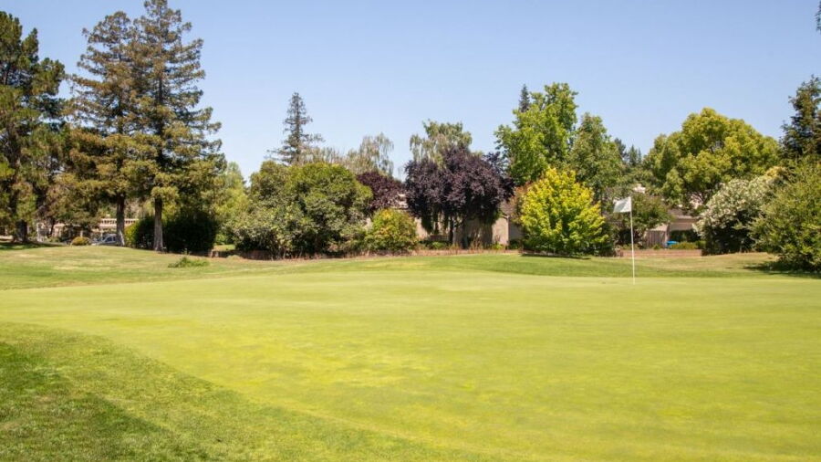 Pruneridge GC