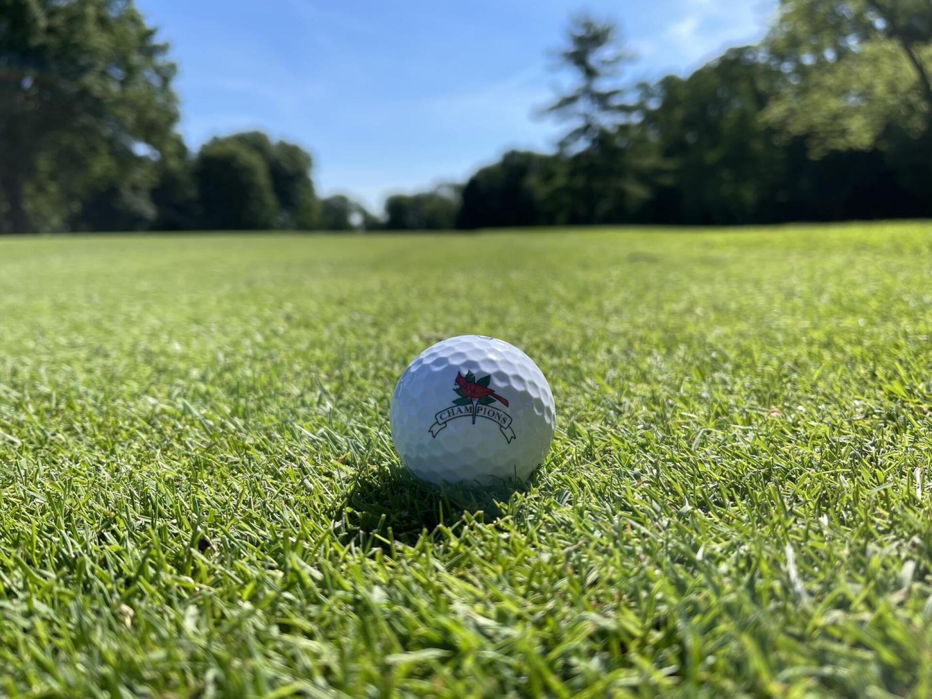 (Photo submitted by u314161772132 on 06/23/2021)