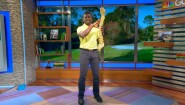 Strengthen Your Spine for a Better Swing