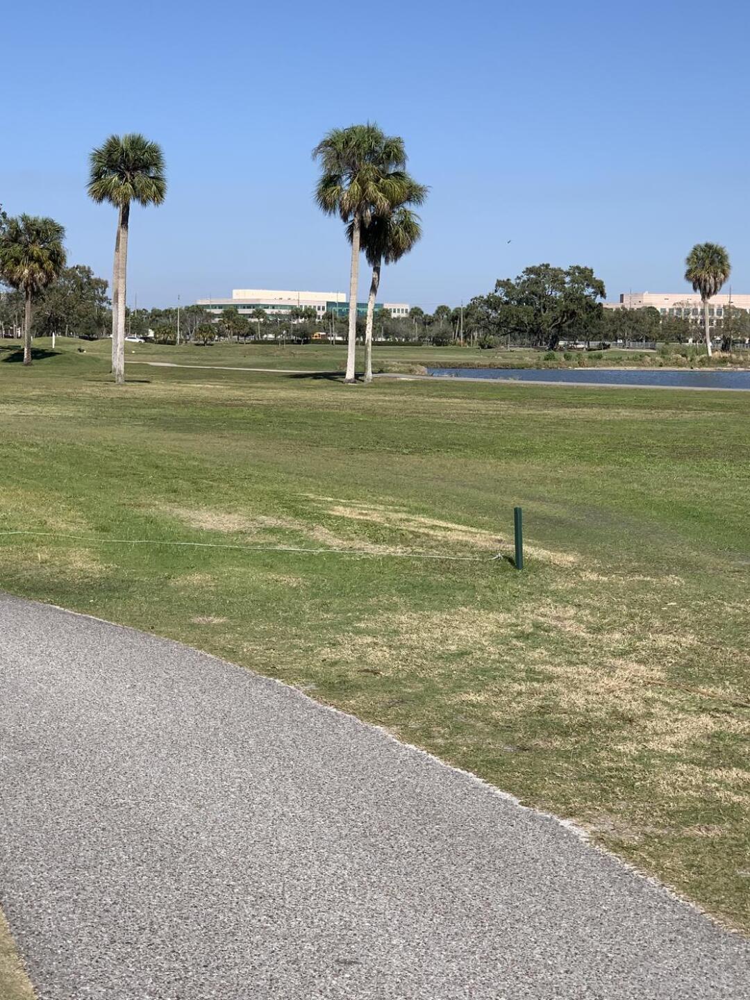 (Photo submitted by mreuther on 02/18/2023)