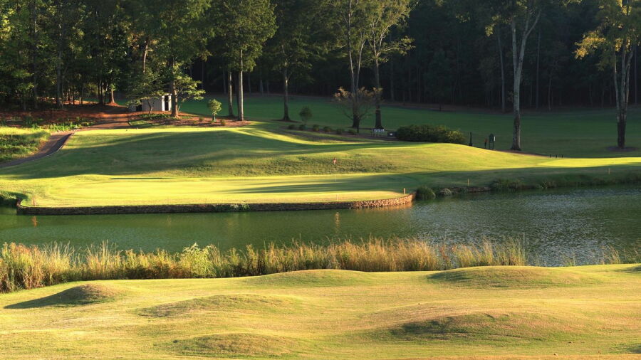 University of Georgia GC: #12