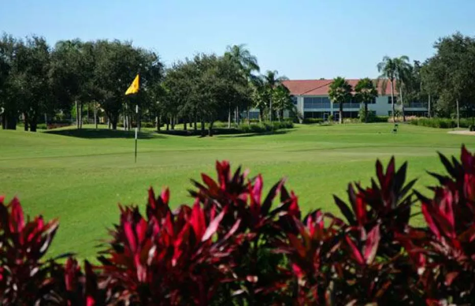 Vineyards of Naples - North: #17