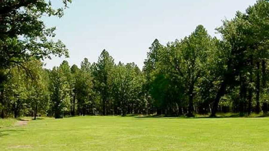 Alpine CC: #5
