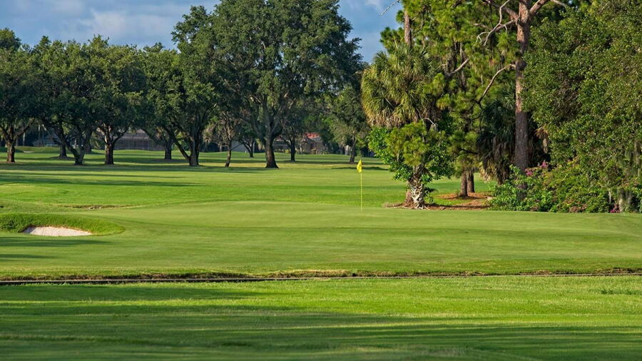 Sara Bay CC: #8
