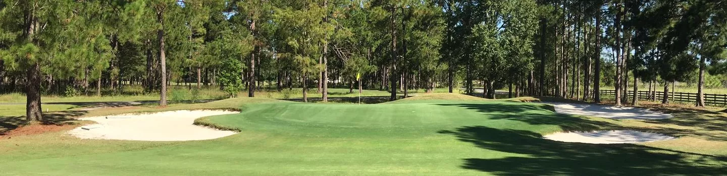 Blueberry Plantation GCC