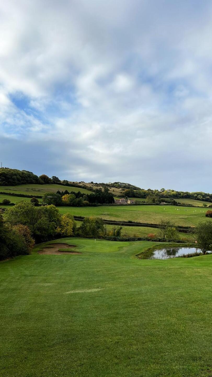 (Photo submitted by alexblooms on 10/17/2022)