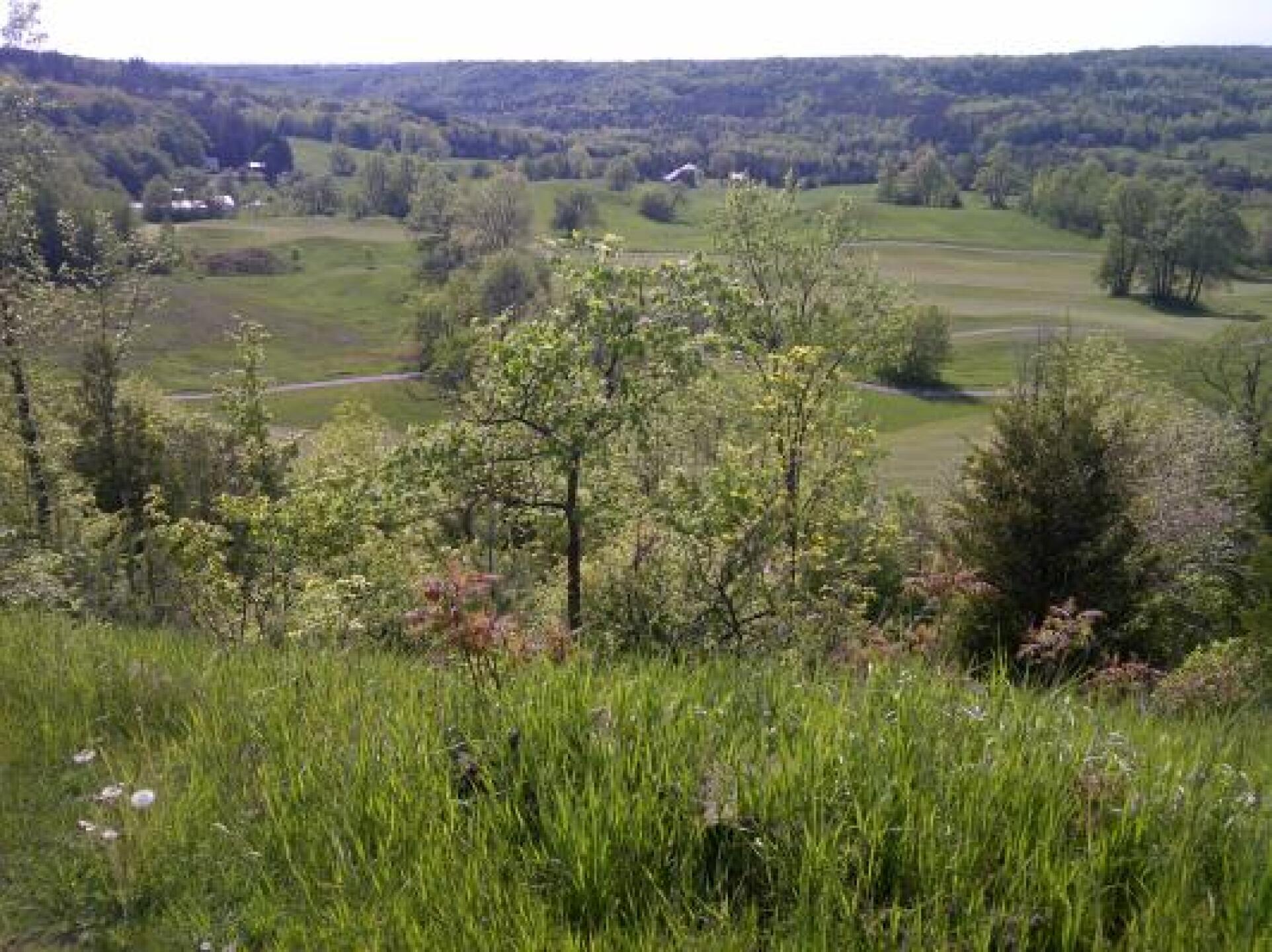 (Photo submitted by GolfGTA on 08/02/2013)