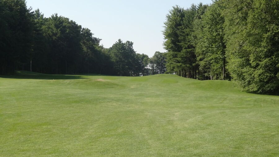 Rolling Meadows CC: #14
