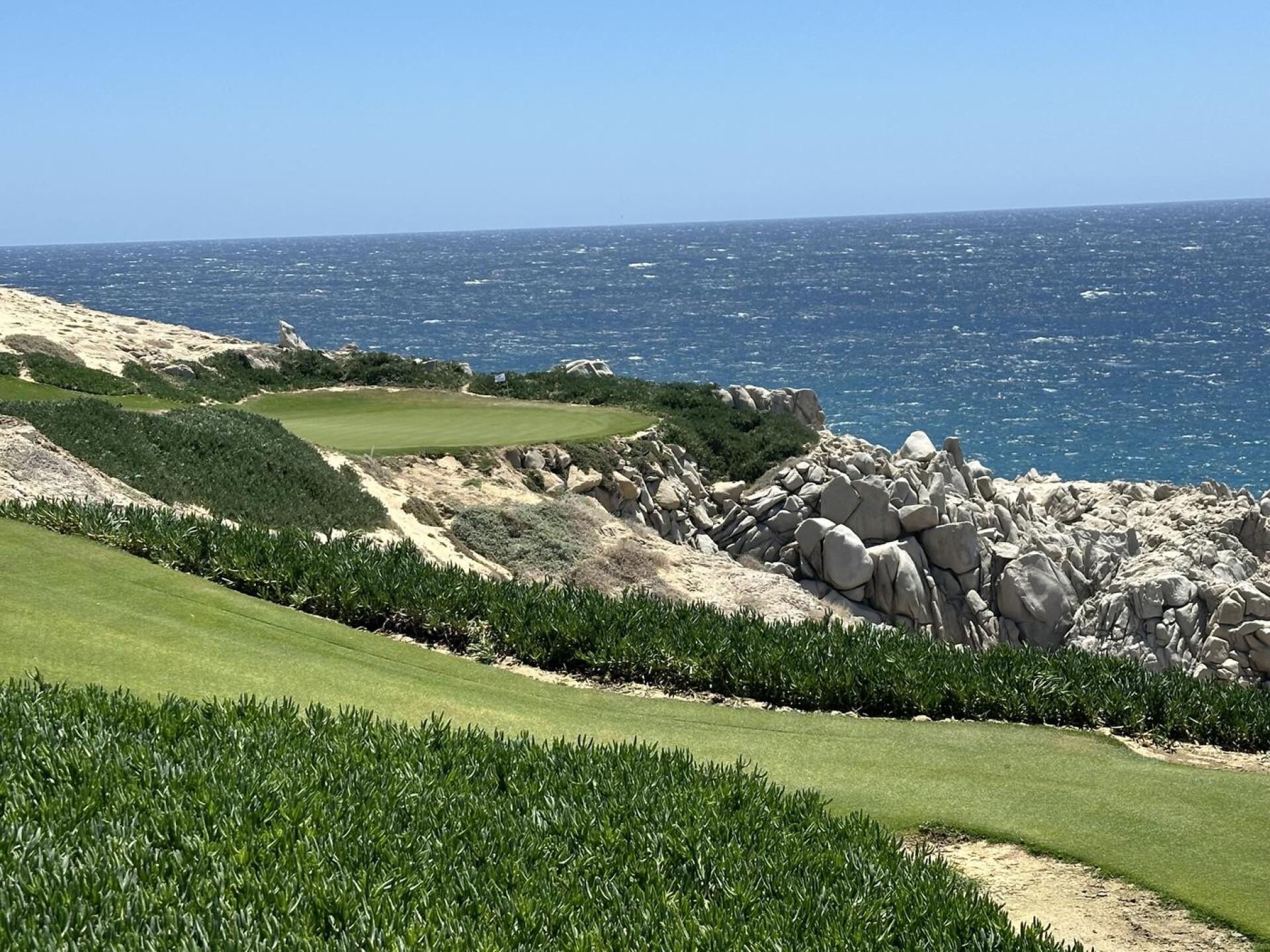 (Photo submitted by 5IHCj3EHN6DXvJ4OEc8n on 03/25/2024)