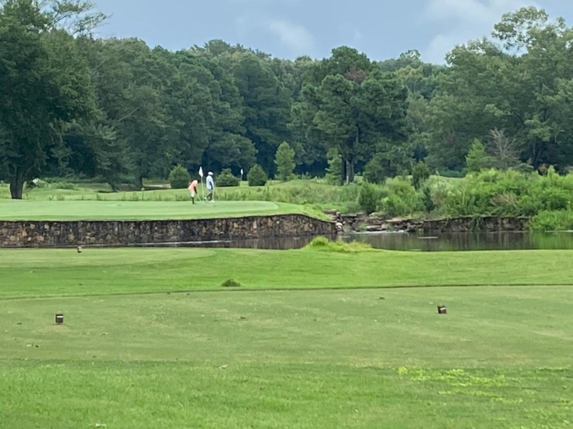 #11 (Photo submitted by Mitchl on 08/14/2020)