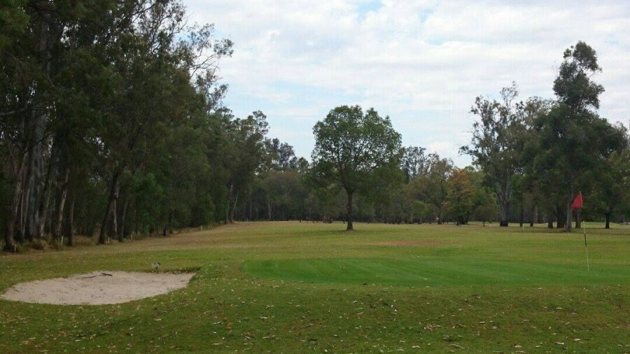 Chinchilla GC