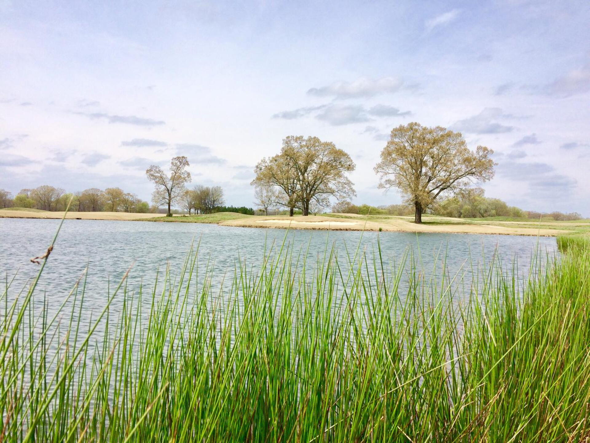 Par-3, 9th hole, Fighting Joe course (Photo submitted by BrandonWebb on 03/24/2017)