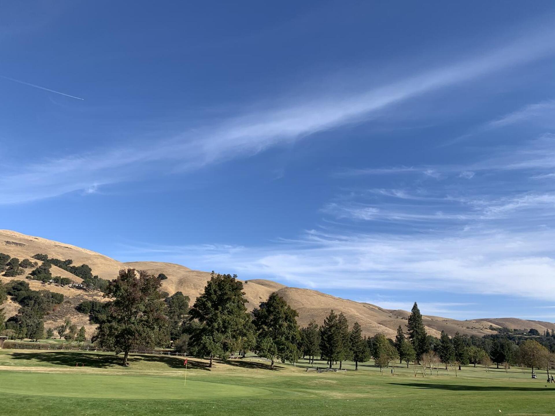 (Photo submitted by conniestraub on 11/12/2020)