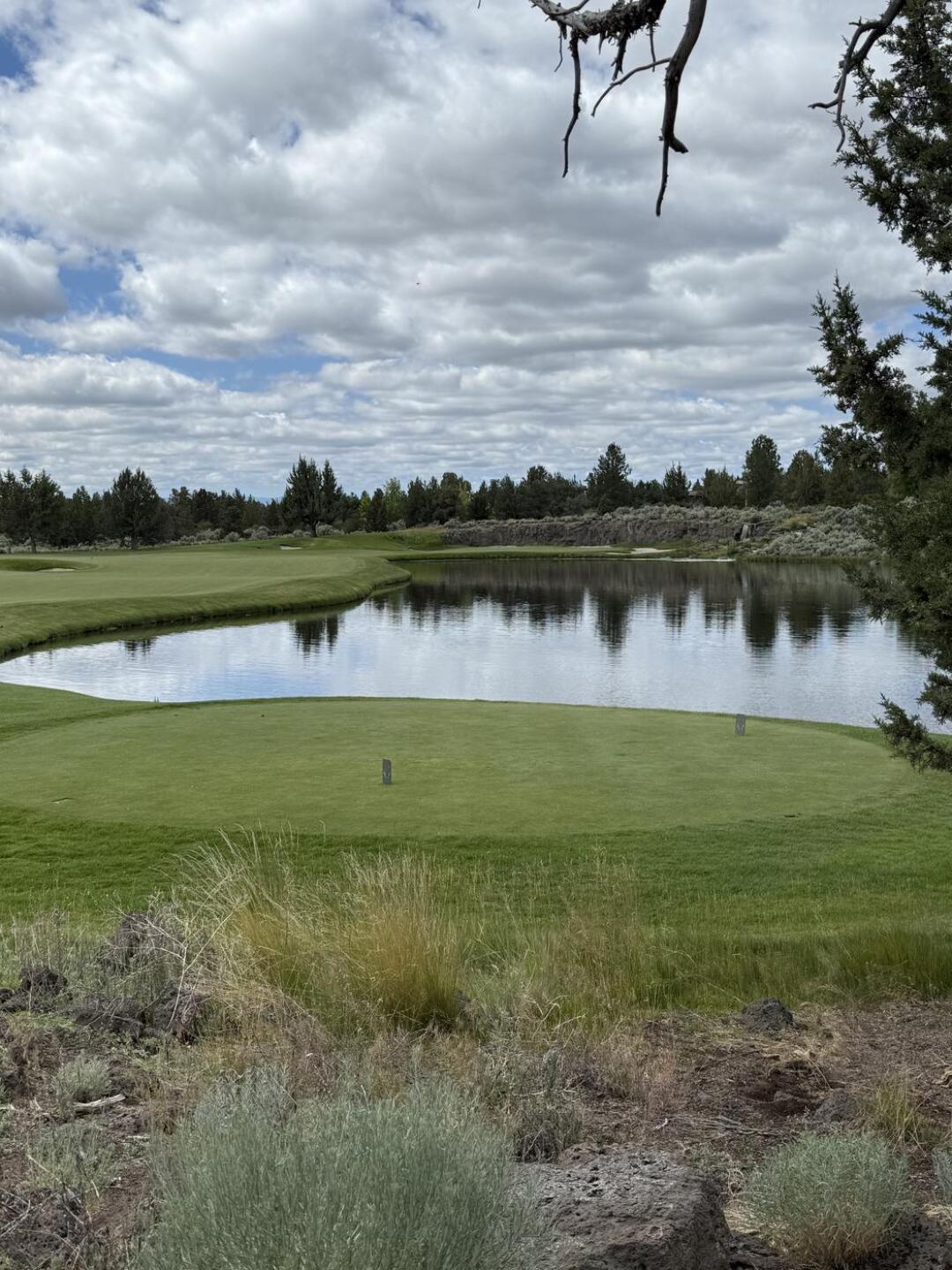 Beautiful par 4! (Photo submitted by NWgrinder on 07/04/2025)