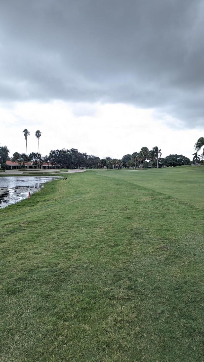 (Photo submitted by tiburonazo on 10/07/2024)