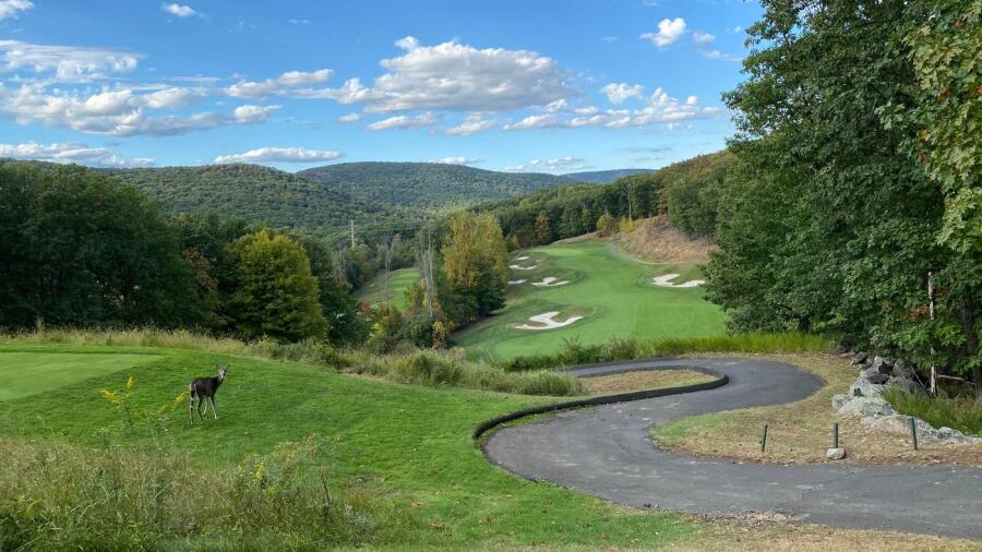 Patriot Hills - deer