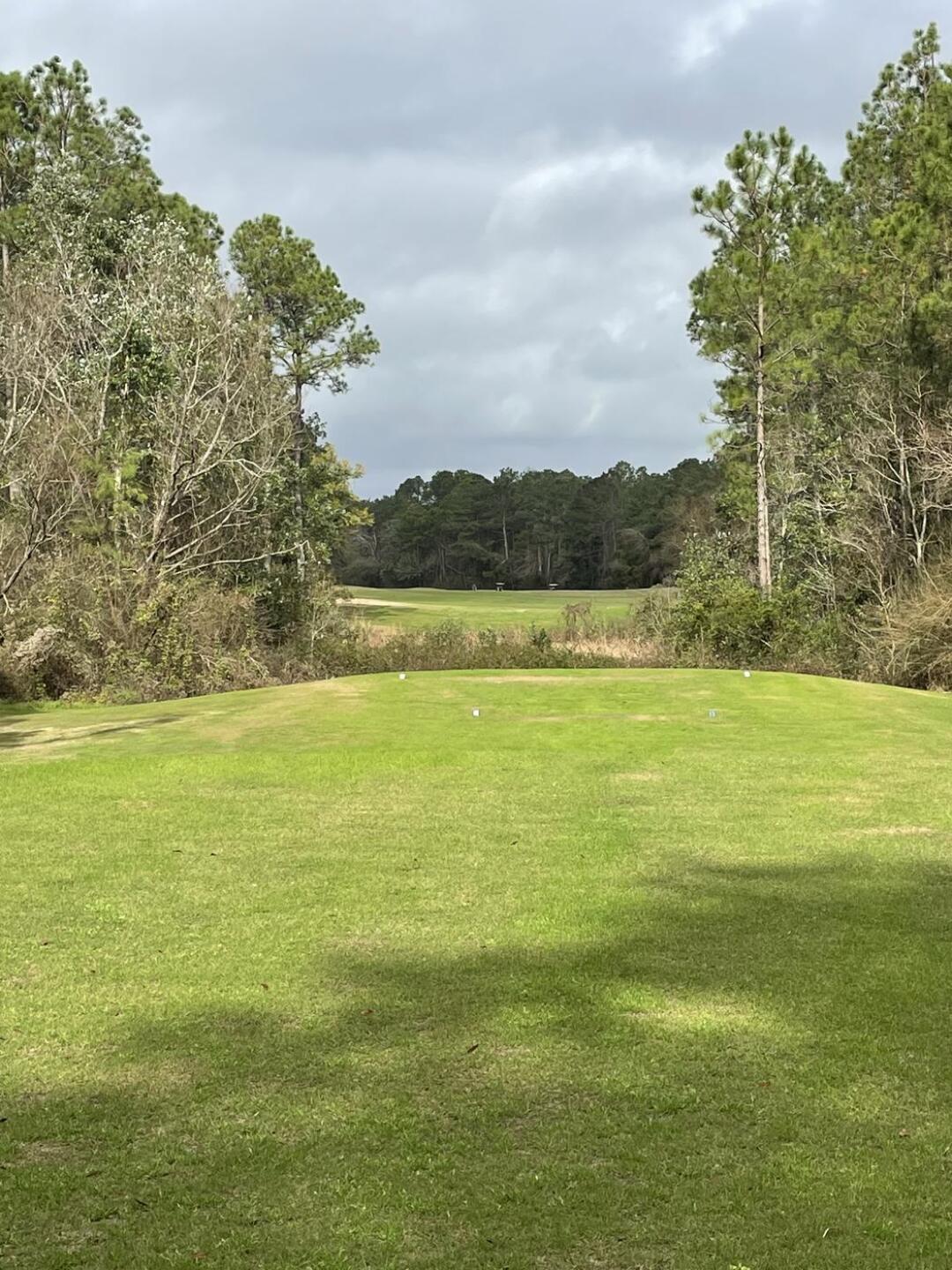 (Photo submitted by u314162355447 on 01/07/2022)