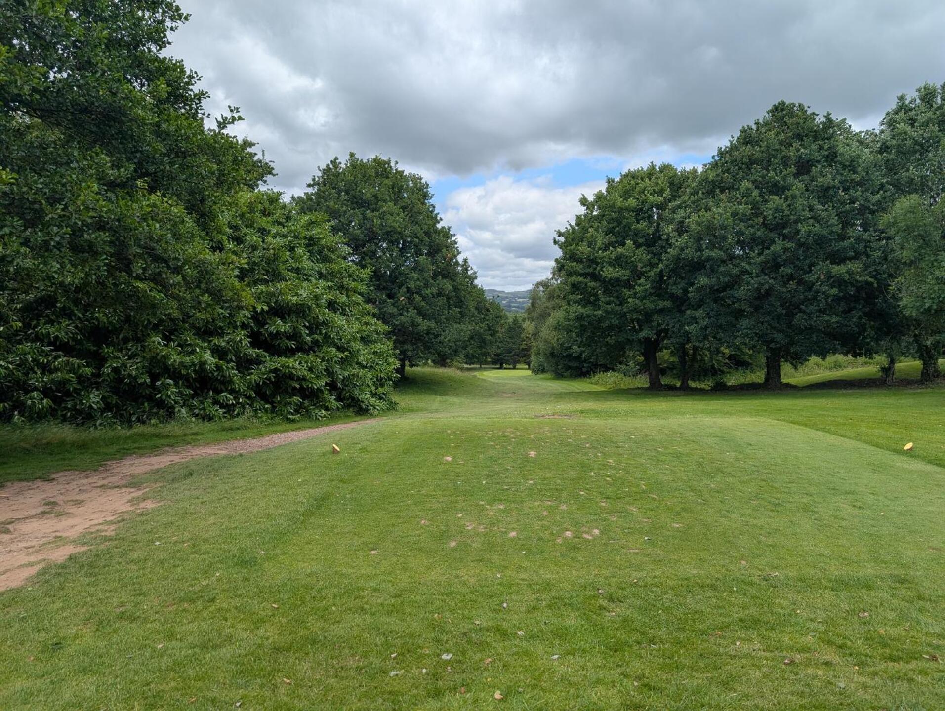 (Photo submitted by 7TYi1gpPaam468JM3YCR on 06/24/2025)