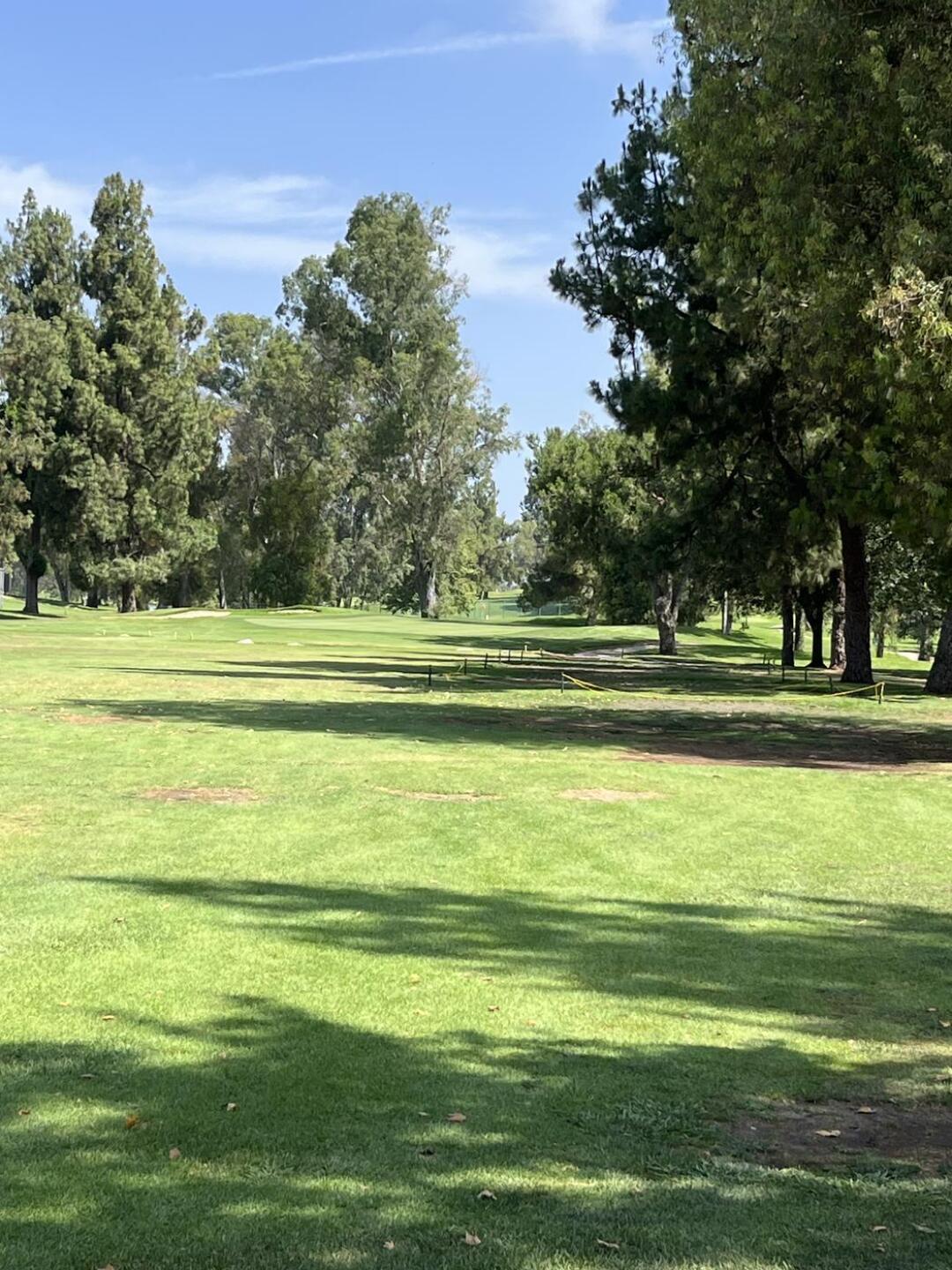 Hole 6 green. So many trees that line the fairways at this course. (Photo submitted by u018507495 on 06/24/2025)
