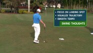 Lessons with a Champion Golfer: Rory McIlroy Short Game Visualization Preview
