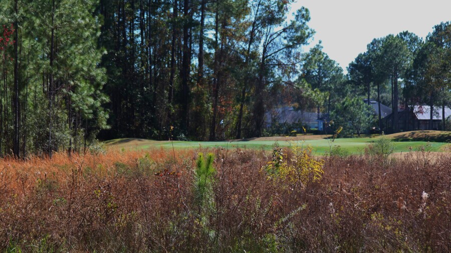 Cimarrone Golf Club - hole 17