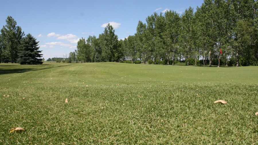 New Rockford GC: #9