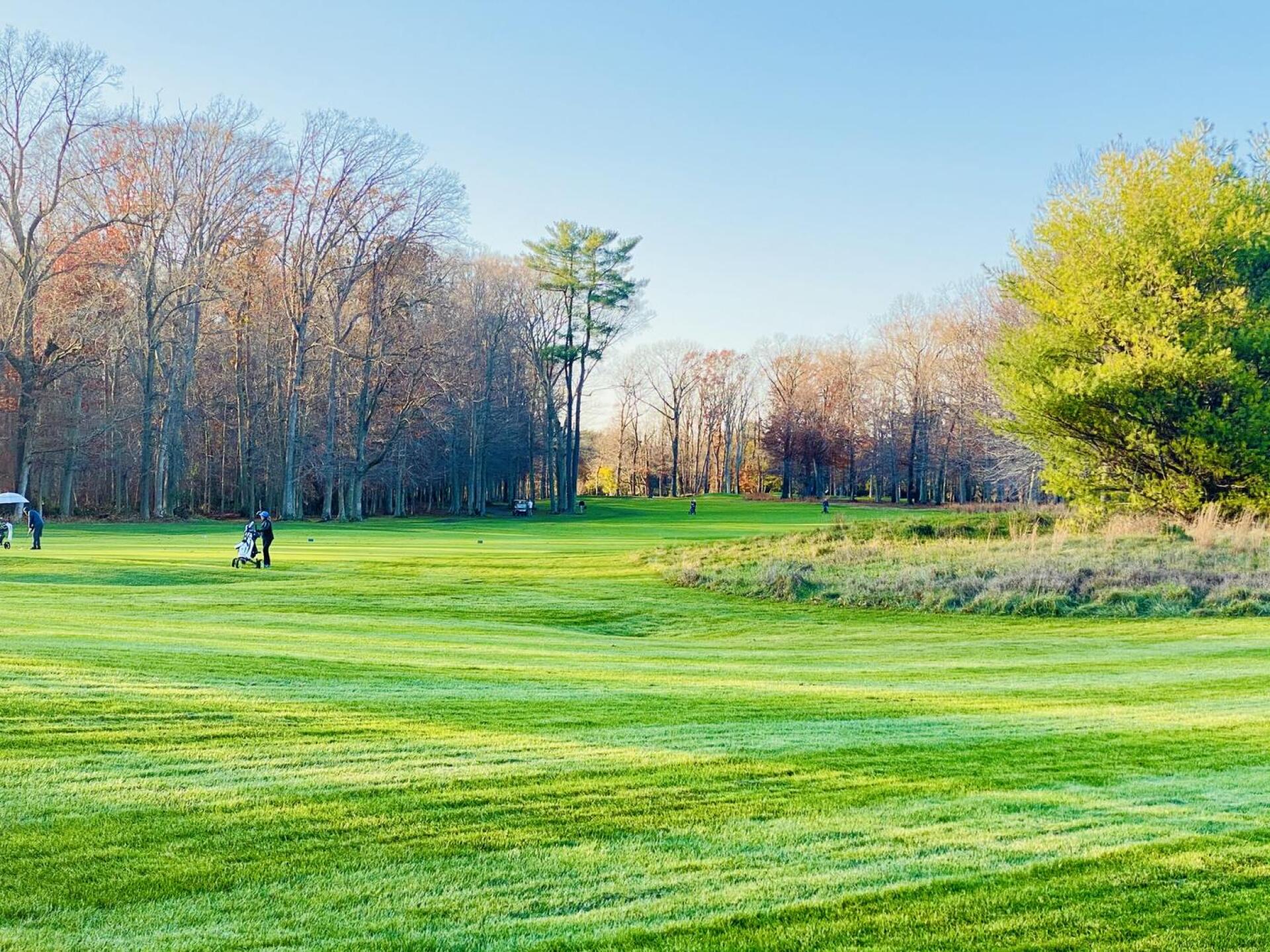 15th fairway (Photo submitted by Joey6576753 on 11/15/2020)