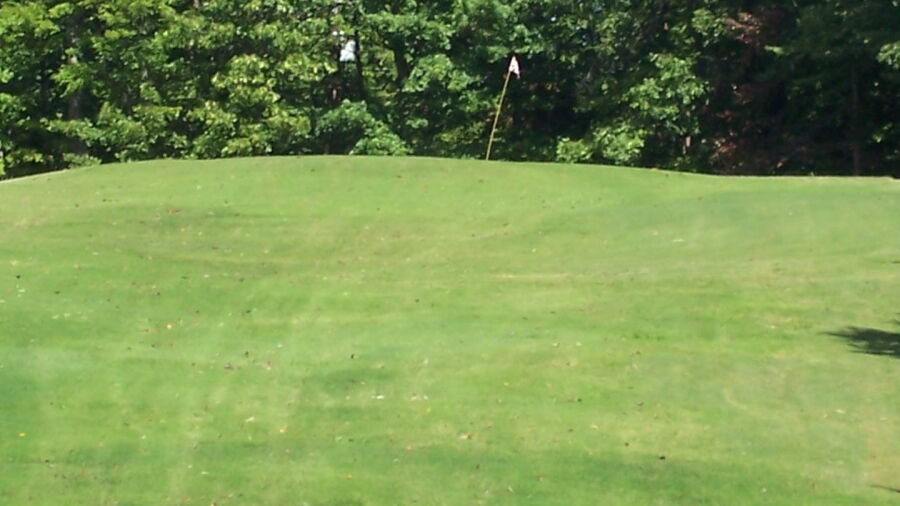 Plantation GC: #15
